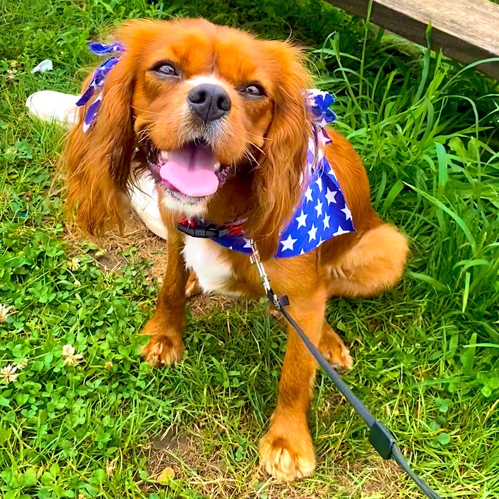 Meet your Posher, Julene